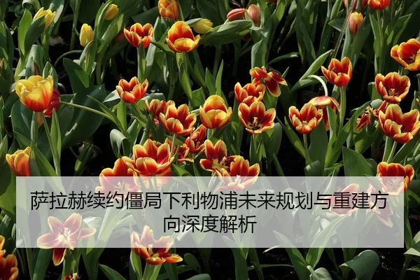 萨拉赫续约僵局下利物浦未来规划与重建方向深度解析