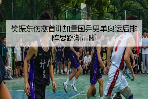 樊振东伤愈首训加量国乒男单奥运后排阵思路渐清晰