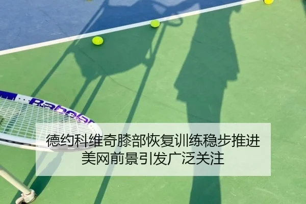 德约科维奇膝部恢复训练稳步推进 美网前景引发广泛关注